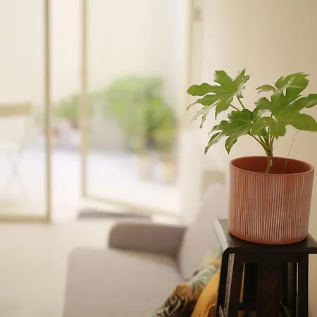 Casinhas Da Beira Mar By Sweet Apartament Aveiro